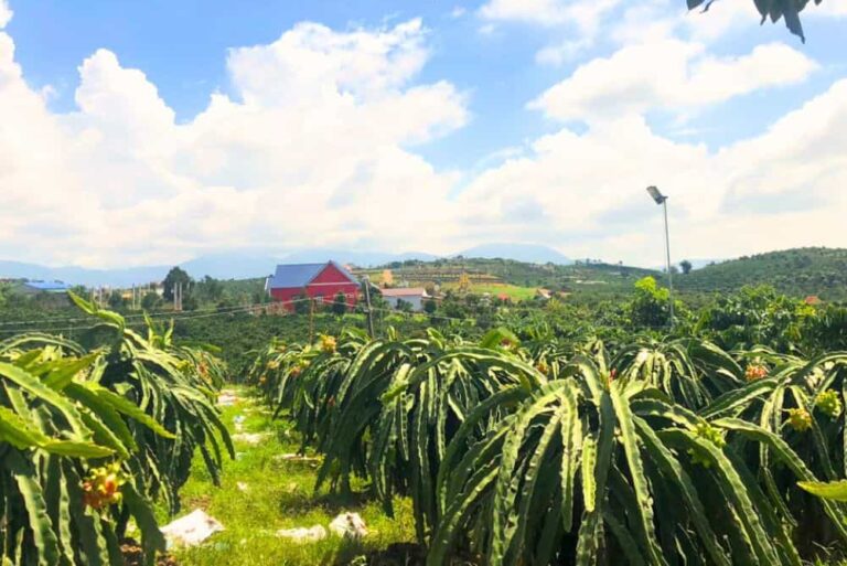 Bán 7 lô đất, Xã Nam Hà, Huyện Lâm Hà, Tỉnh Lâm Đồng, 7047m2, Đất phân lô giá đầu tư tỉnh Lâm Đồng, Đường ô tô 4,5m đến tận nơi