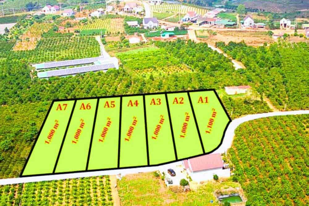 Bán đất phân lô 7047m2 xã Nam Hà, Huyện Lâm Hà, Lâm Đồng