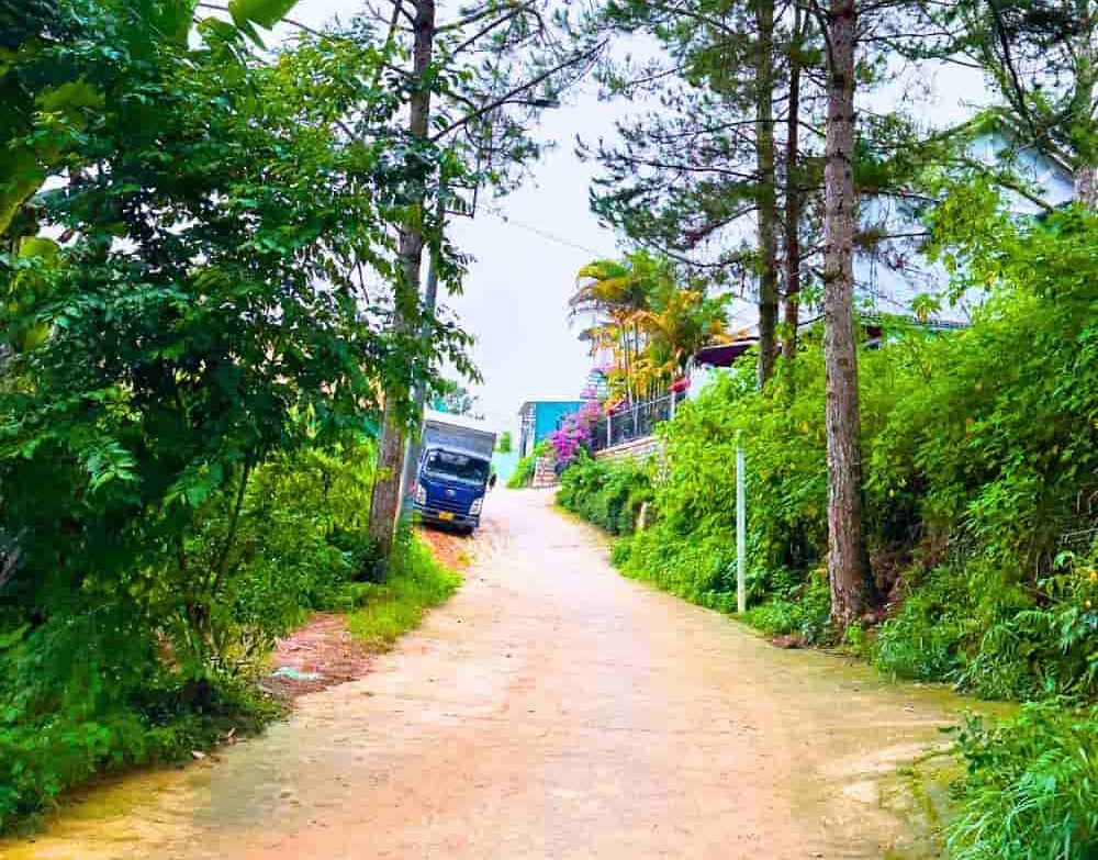 BatDongSanGiaReDaLatquangthinhland.vn 05 1 e1738656781478