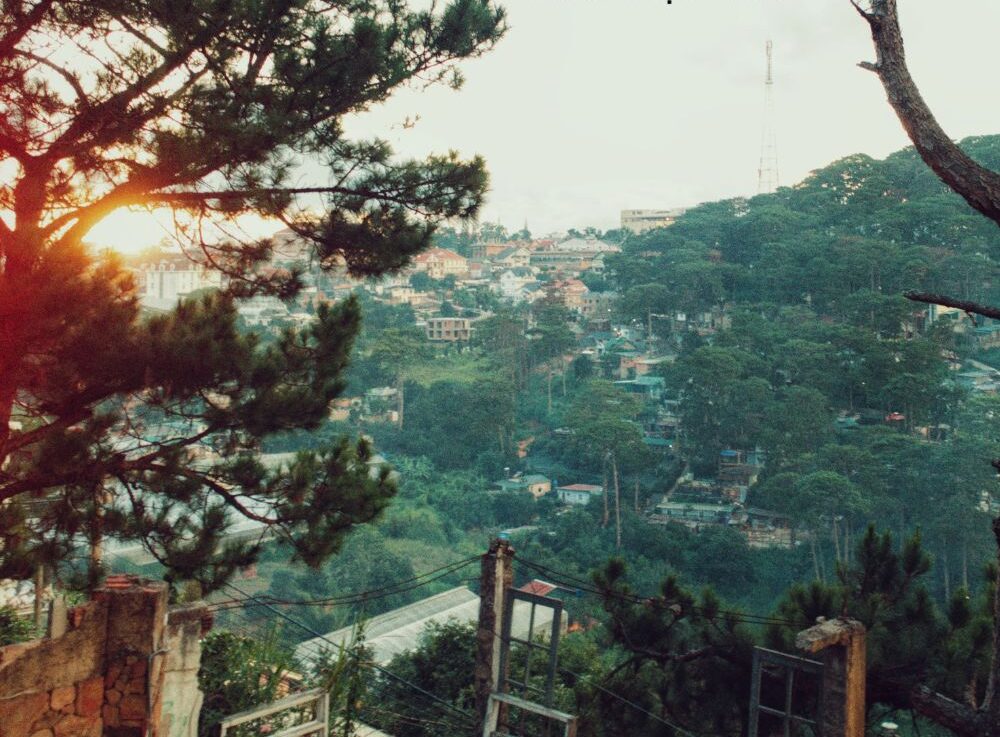 KinhdoanhkhachsanDaLat quangthinhland.vn 05 e1738656381443