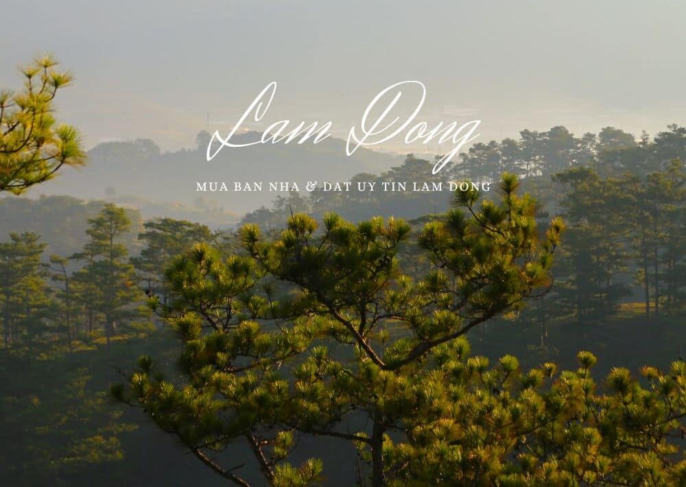 MUA BÁN NHÀ ĐẤT LÂM ĐỒNG UY TÍN VÀ NHANH CHÓNG