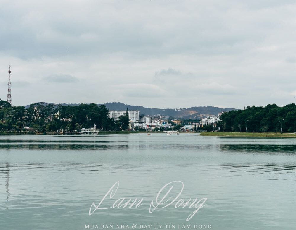 MuabannhadatuytinLamDong quangthinhland.vn 06 1 e1738655084429