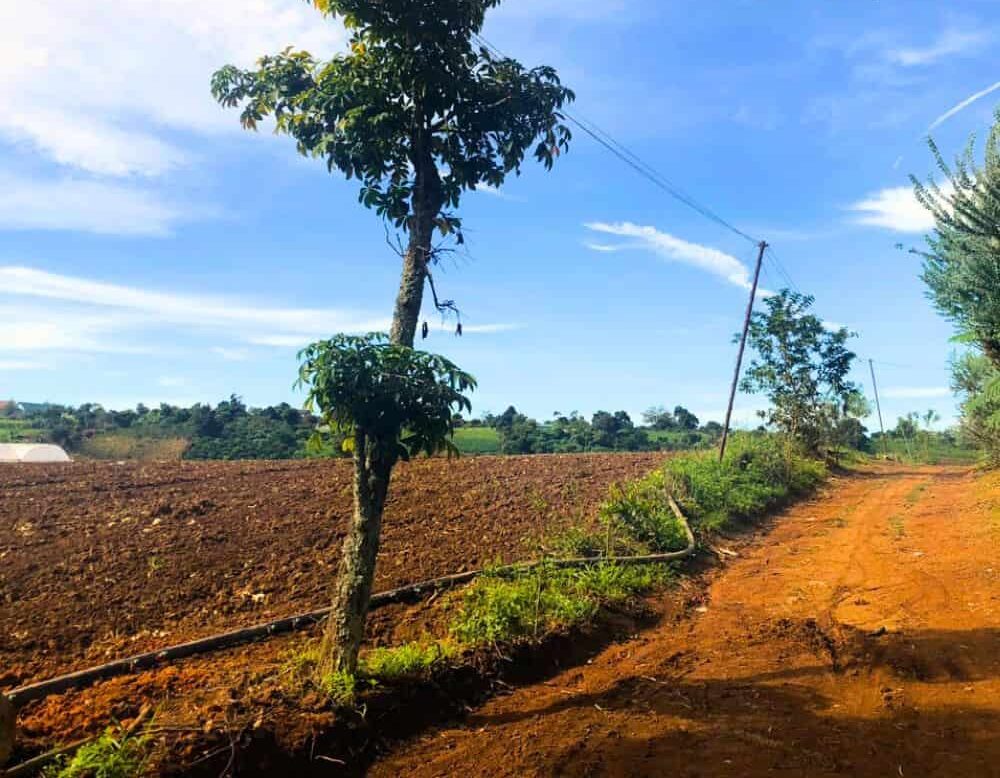 Bán đất 13363m2 xã Tà Nung, Thành phố Đà Lạt, Tỉnh Lâm Đồng