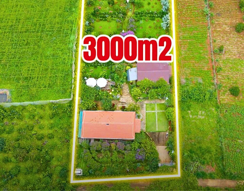 Bán nhà 3013m2 xã Mê Linh, Huyện Lâm Hà, Tỉnh Lâm Đồng