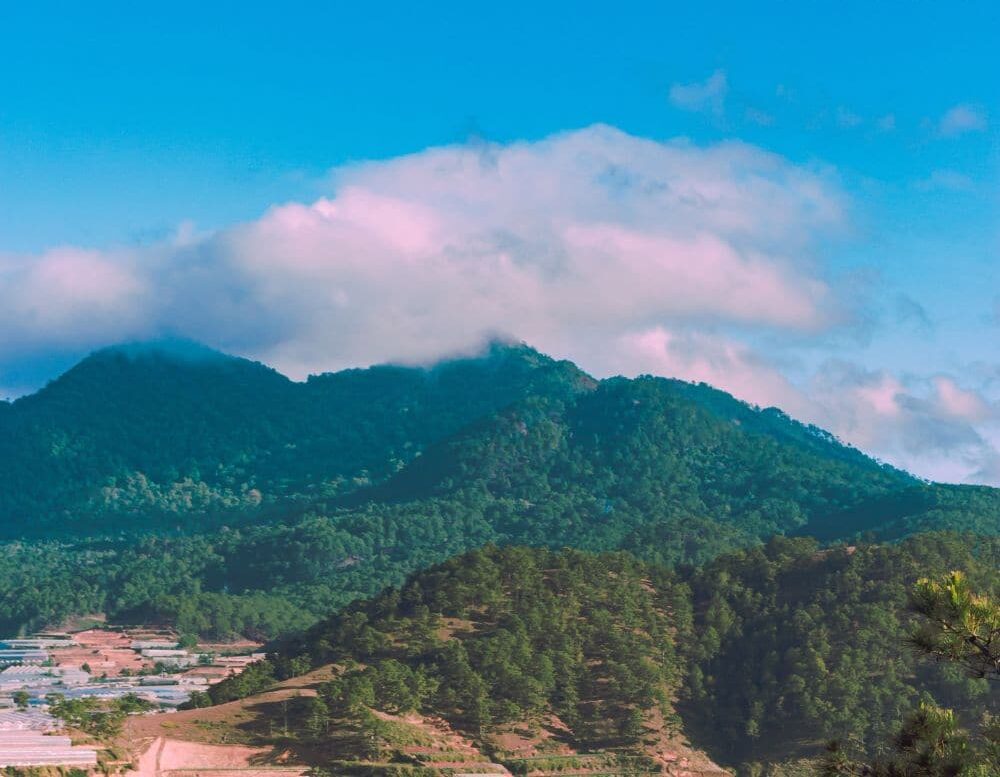 DaLatChuyen900haSangPhiNongNghiepquangthinhland.vn 04 1 e1738659246416