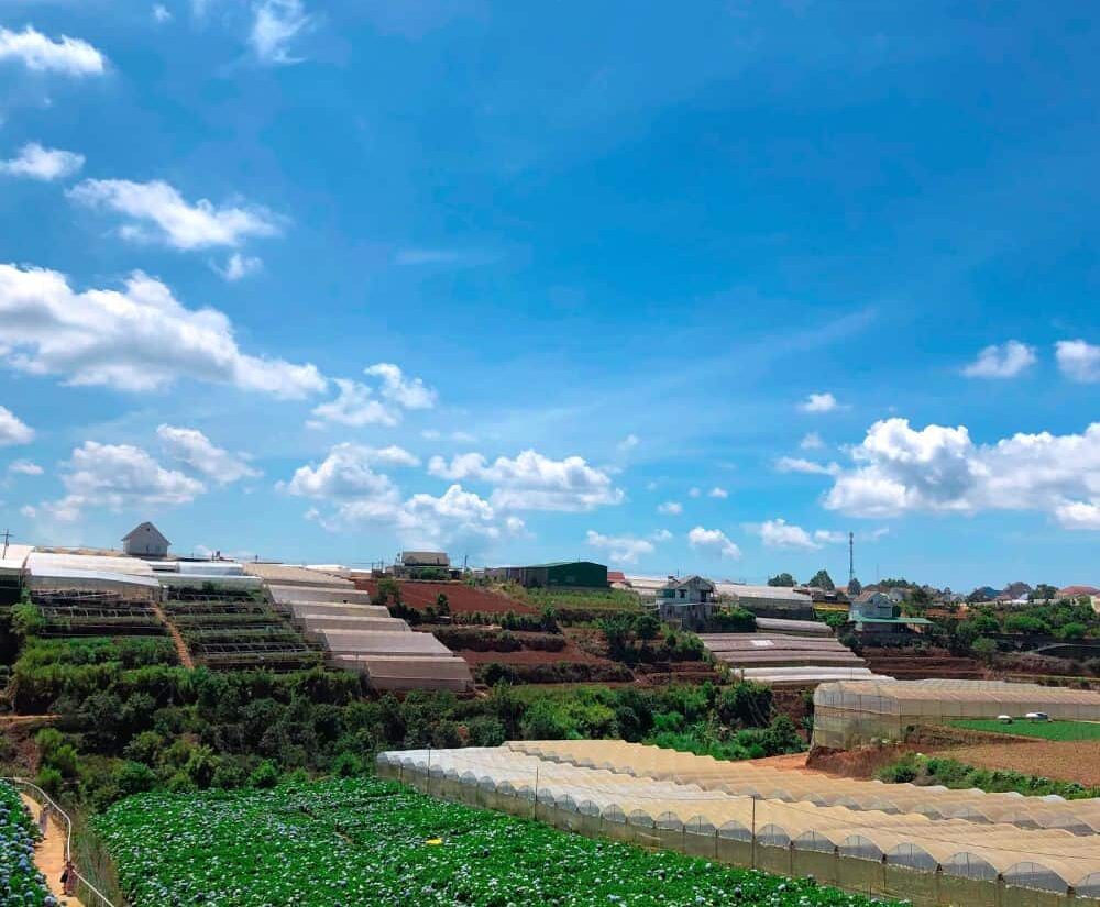 GiaoDichBDSLamDongQuyIIIquangthinhland.vn 03 1 e1737720449297