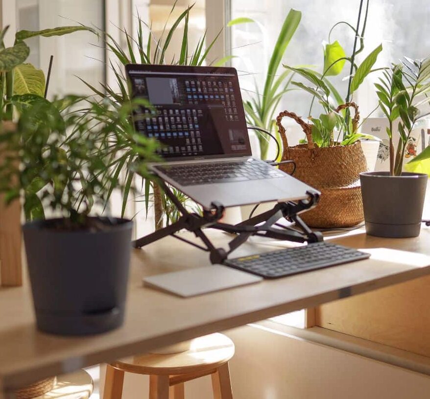 BẤT ĐỘNG SẢN CHO NHÀ ĐẦU TƯ CÁ NHÂN TẠI LÂM ĐỒNG