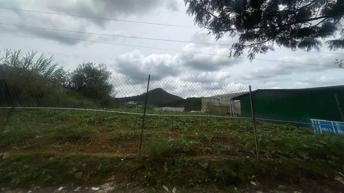 Bán đất đường 723 Thái Phiên Đà Lạt 1060m2 Bán đất đường 723 Thái Phiên Đà Lạt 1060m2