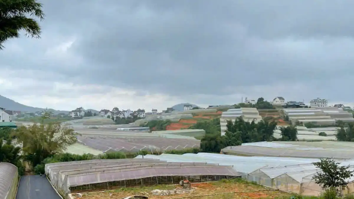 Bán đất đường Trần Quang Khải Đà Lạt 323m2 Bán đất đường Trần Quang Khải Đà Lạt 323m2