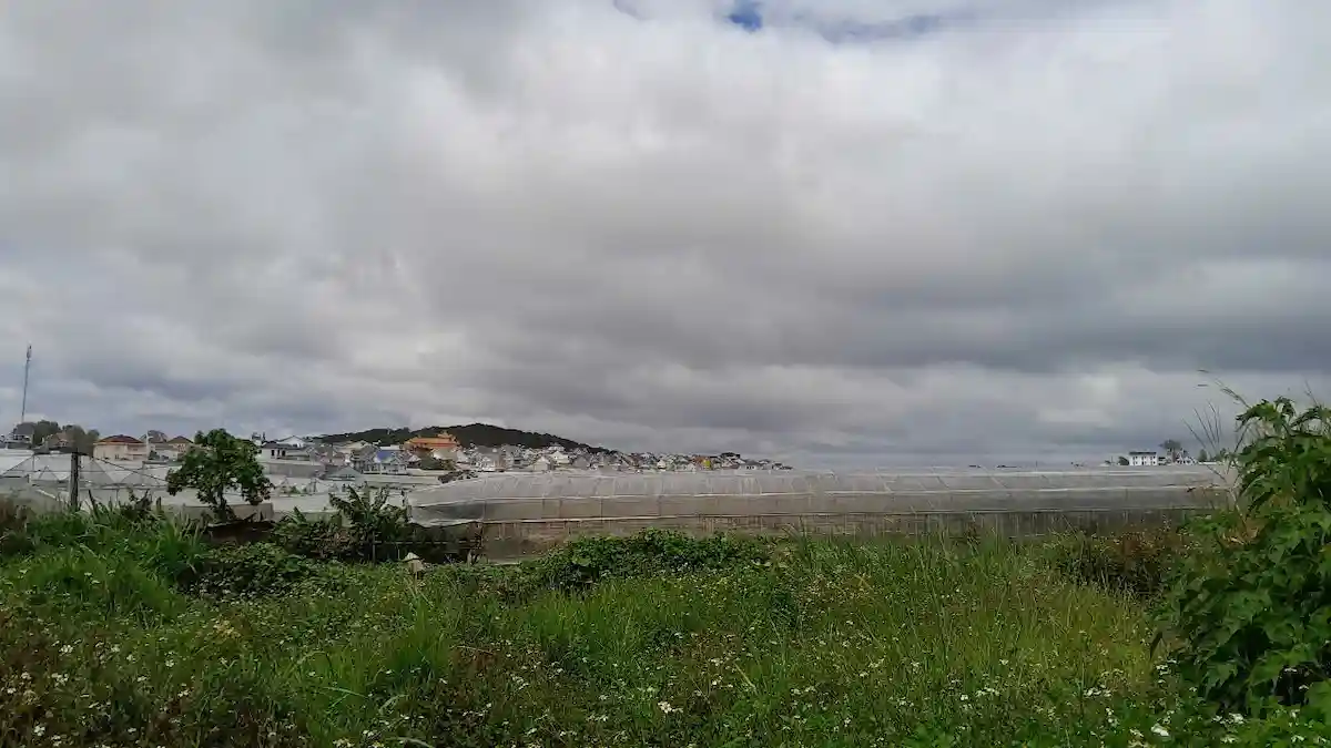 Bán đất tại Hòn Bồ Thái Phiên Đà Lạt 85m2 Bán đất tại Hòn Bồ Thái Phiên Đà Lạt 85m2