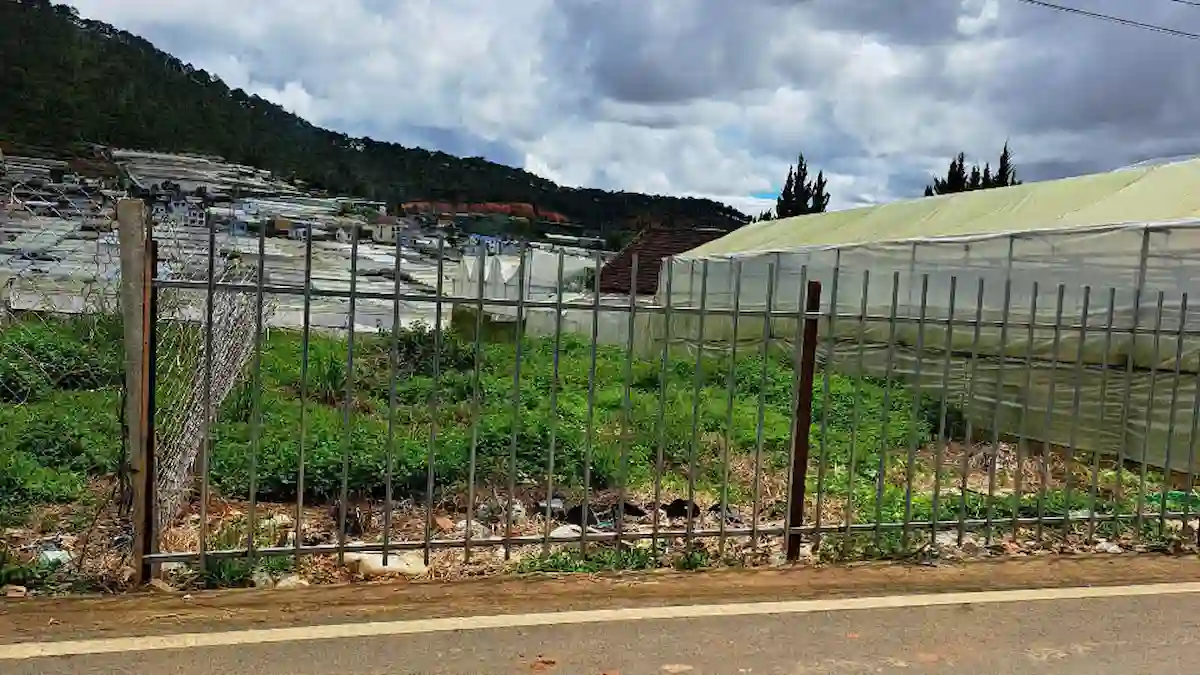 Bán đất tại Thái Phiên Đà Lạt 650m2