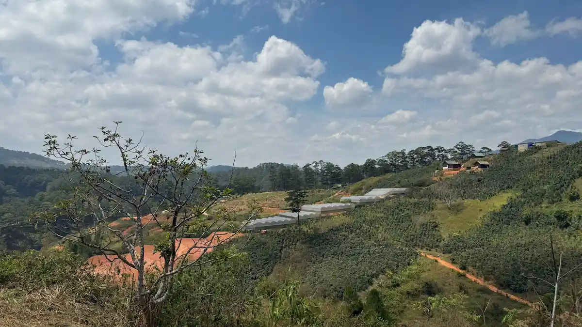 Bán đất tại Đạ Sar Lạc Dương Lâm Đồng 3.924m2