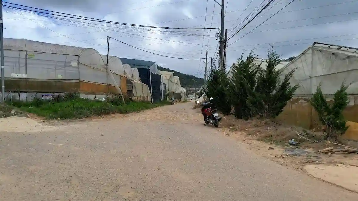 Bán đất Thái Phiên Phường 12 Đà Lạt 162.9 m2