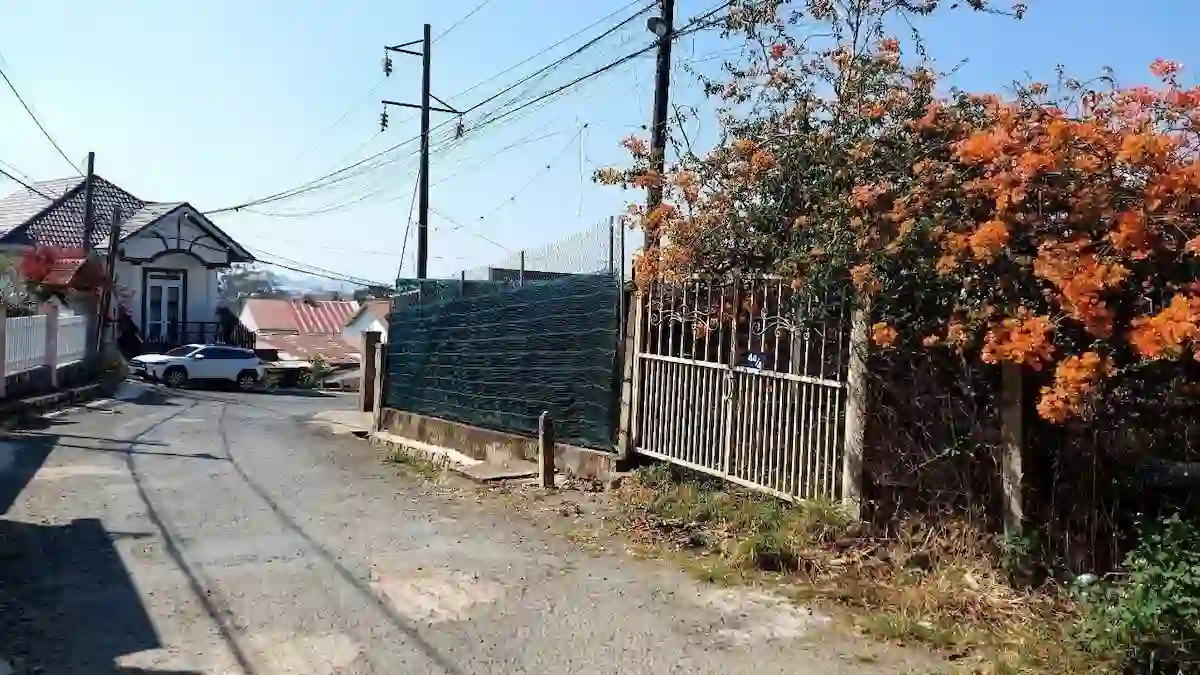 Bán đất đường Xô Viết Nghệ Tĩnh Đà Lạt 503m2 Bán đất đường Xô Viết Nghệ Tĩnh Đà Lạt 503m2