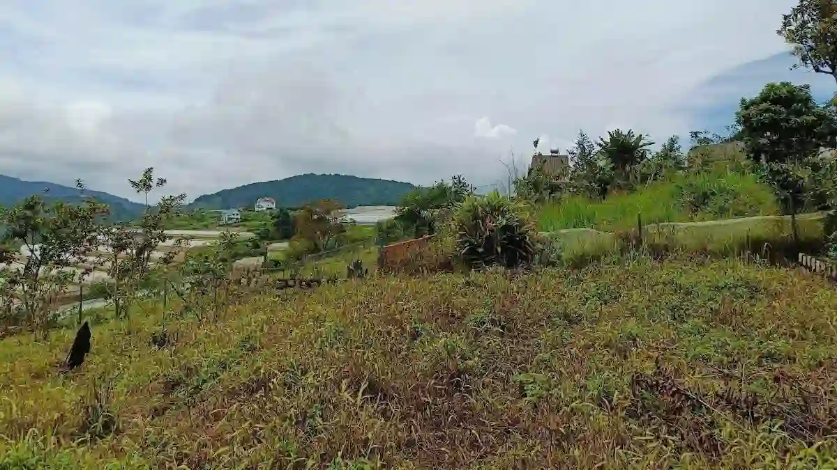 Bán 2 Lô đất tại MăngLine Đà Lạt 267m2