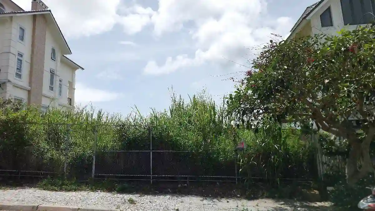 Bán đất đẹp KQH An Sơn – Phường Xuân Hương (P4 cũ) – Đà Lạt (393m2, Sổ riêng xây dựng, mặt tiền đường nhựa) 1 Bán đất đẹp KQH An Sơn Đà Lạt 393m2