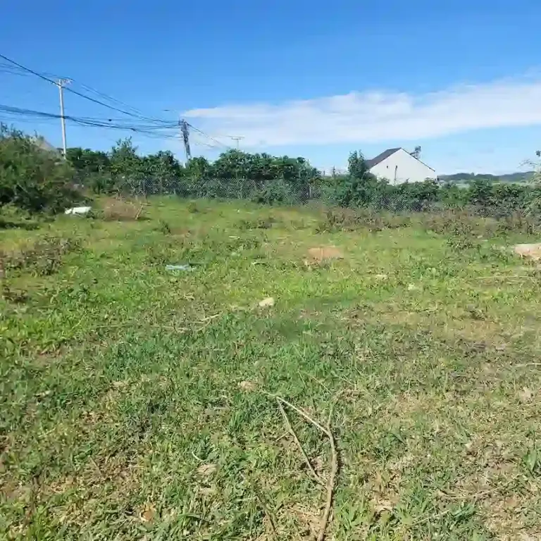 Bán đất tại Vạn Xuân – Phường LangBiang – Lạc Dương – Lâm Đồng (253m2, sổ riêng xây dựng, đường ô tô, đất full xây dựng)