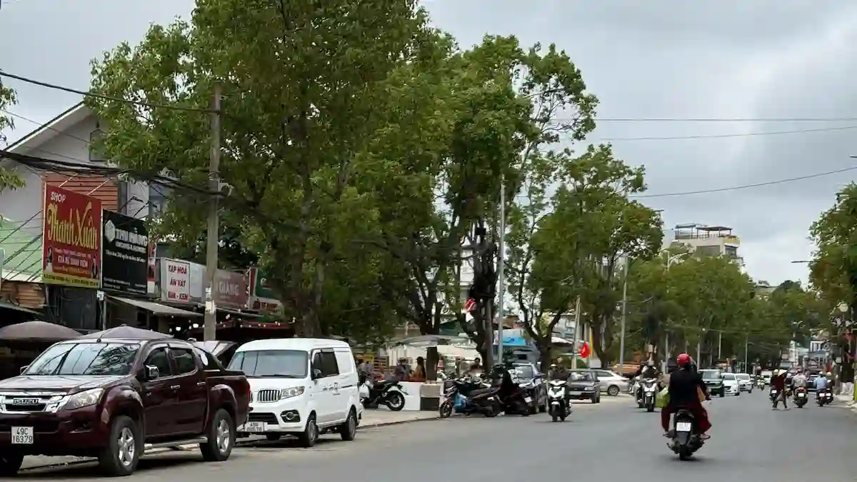 Bán nhà Phù Đổng Thiên Vương Đà Lạt 400m2